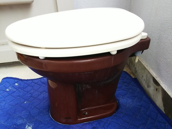 After画像